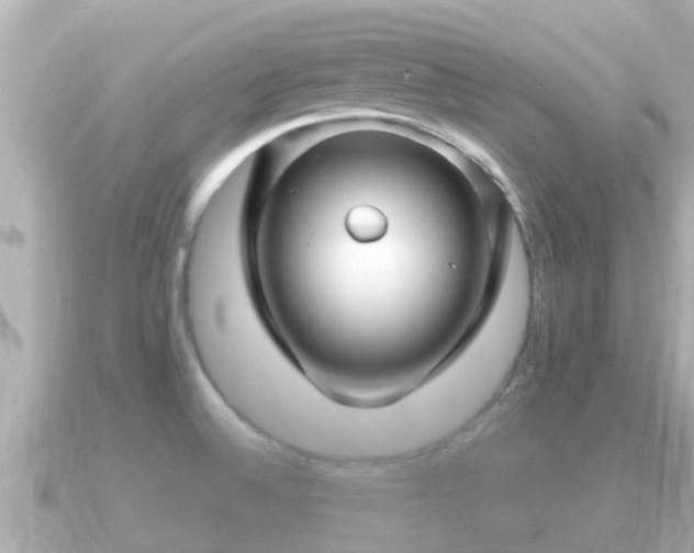X0000090951524200708091319