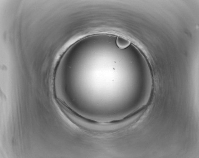 X0000090951525200708091319