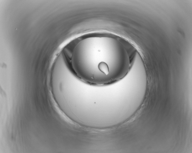 X0000090951526200708091319