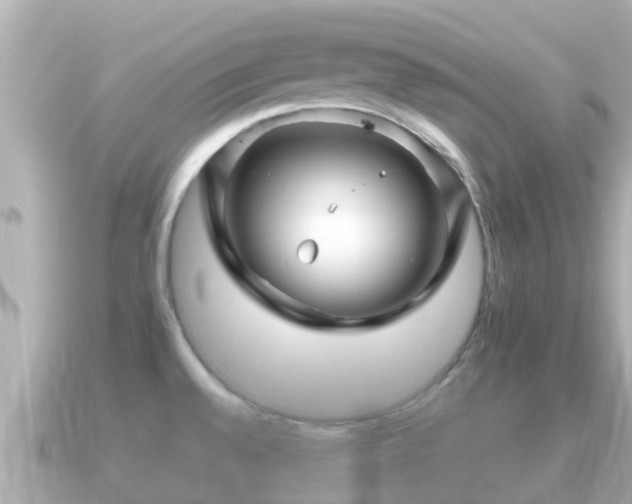X0000090951528200708091319