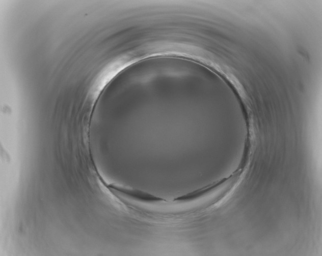 X0000090951529200708091319
