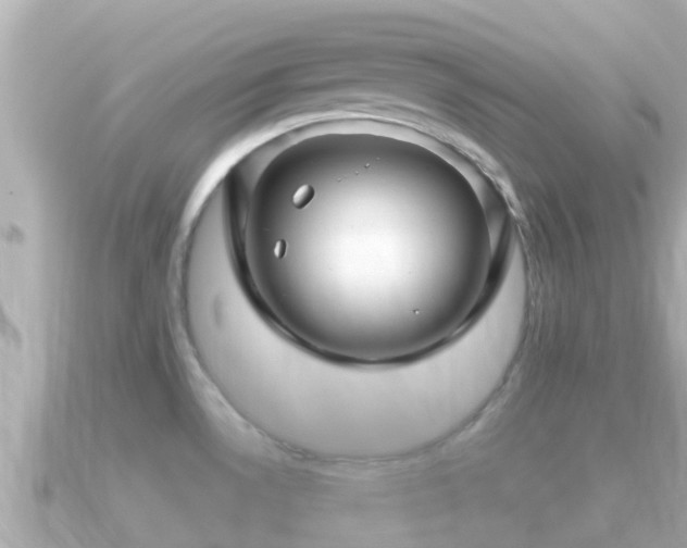 X0000090951530200708091319