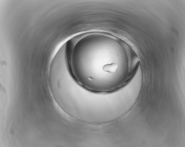 X0000090951532200708091319