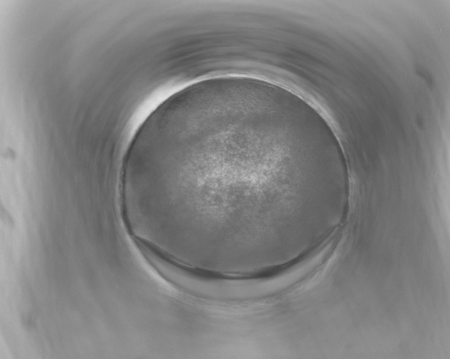 X0000090951533200708091319