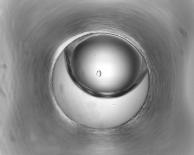 X0000090951536200708091319