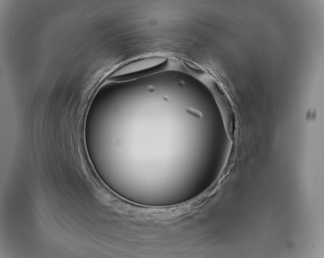 X0000090950001200708161805