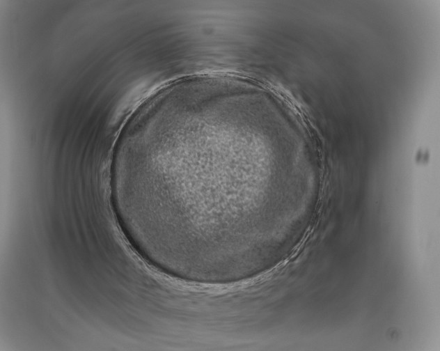 X0000090950002200708161805