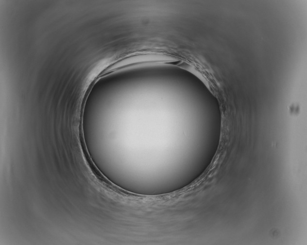 X0000090950003200708161805