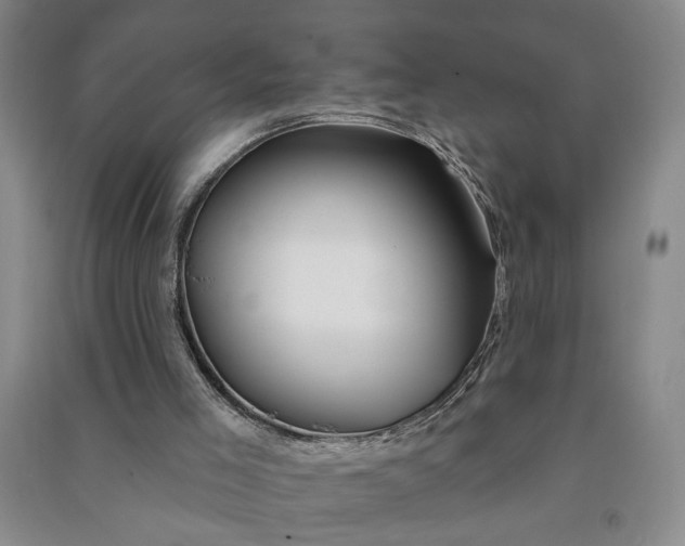 X0000090950005200708161805