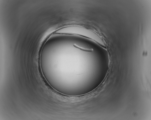 X0000090950006200708161805