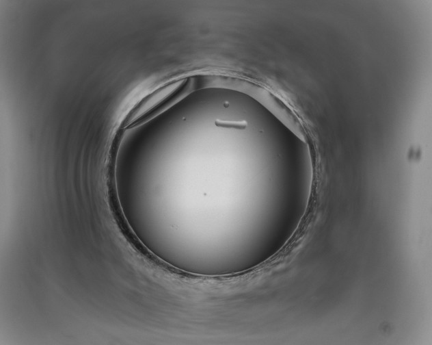 X0000090950007200708161805