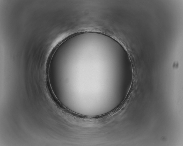 X0000090950008200708161805