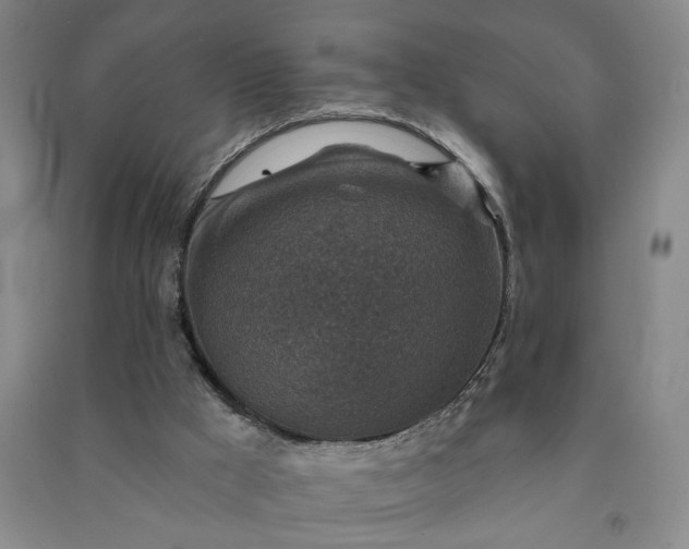 X0000090950009200708161805