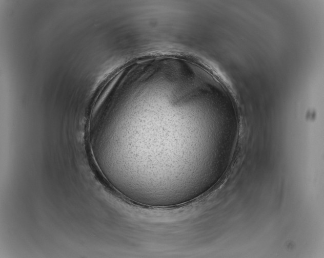 X0000090950010200708161805