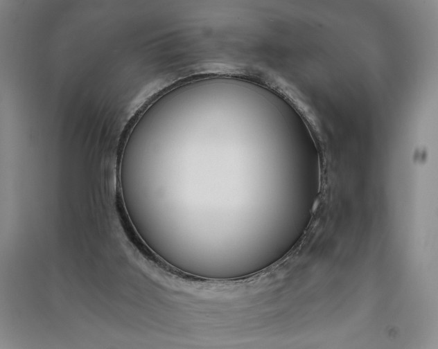 X0000090950011200708161805