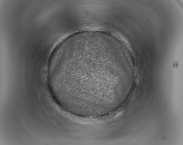 X0000090950012200708161805