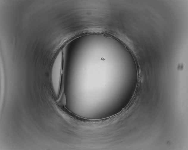 X0000090950013200708161805