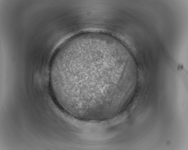 X0000090950016200708161805