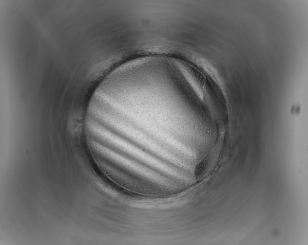 X0000090950017200708161805