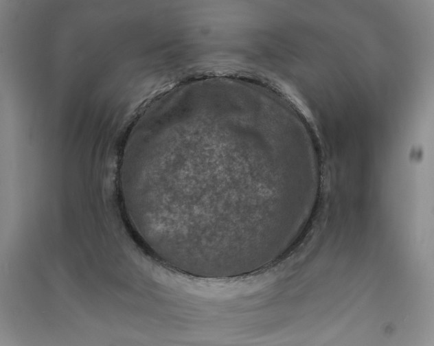 X0000090950018200708161805