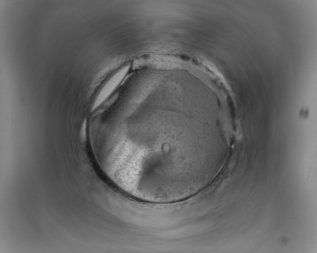 X0000090950019200708161805