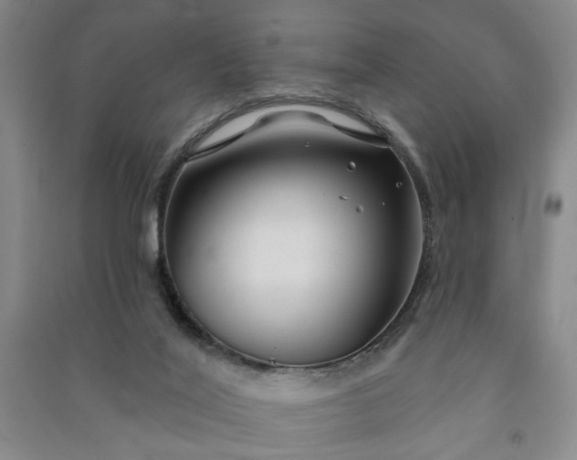 X0000090950020200708161805