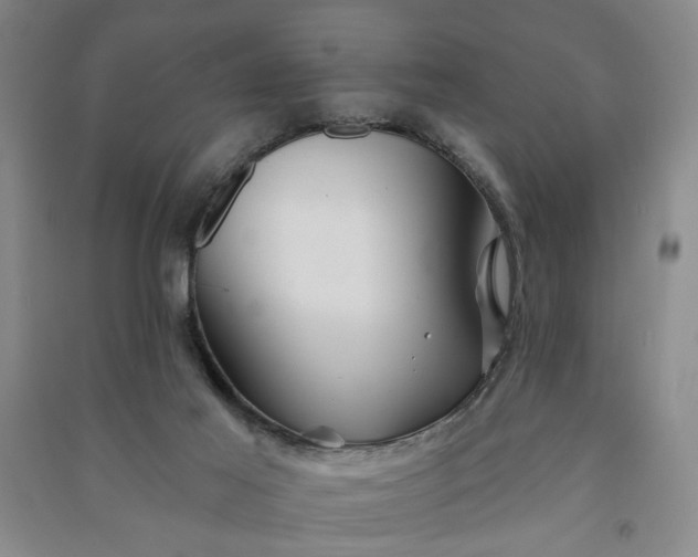 X0000090950021200708161805