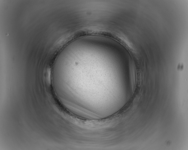 X0000090950022200708161805