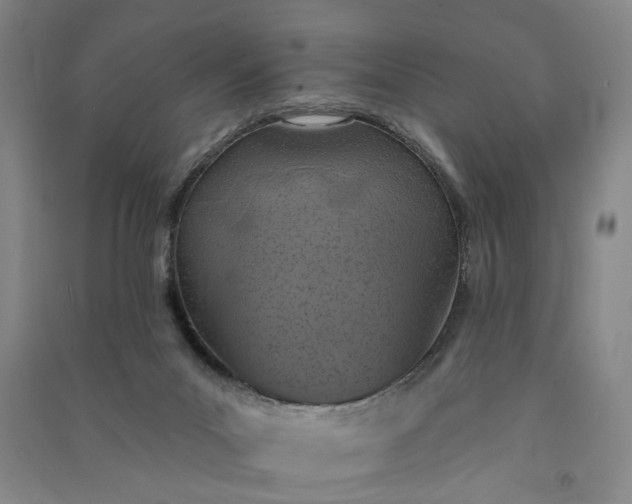 X0000090950023200708161805