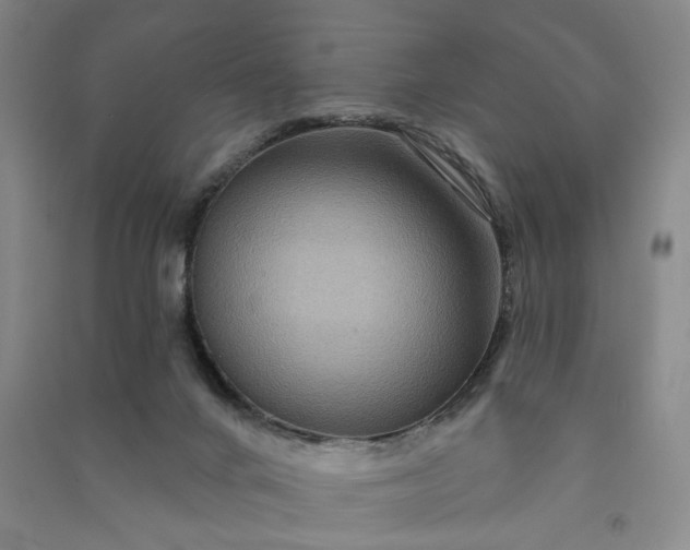 X0000090950024200708161805