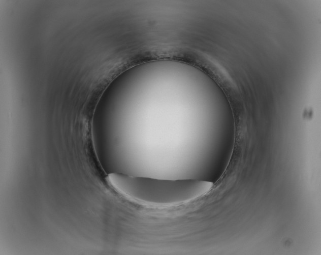 X0000090950025200708161805