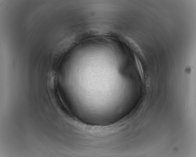 X0000090950026200708161805