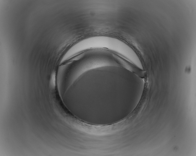 X0000090950027200708161805