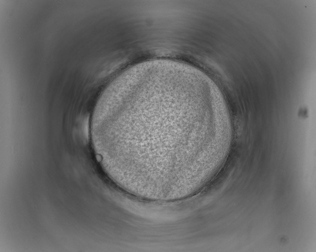 X0000090950028200708161805