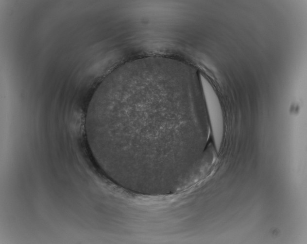 X0000090950029200708161805