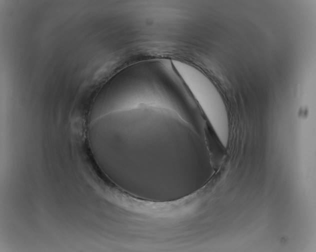 X0000090950031200708161805