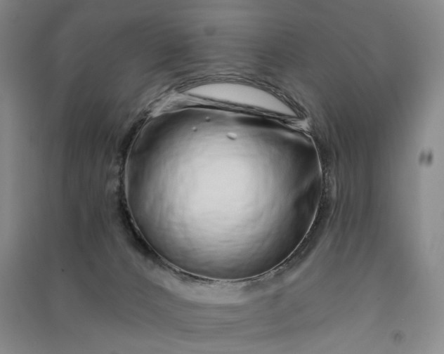 X0000090950032200708161805
