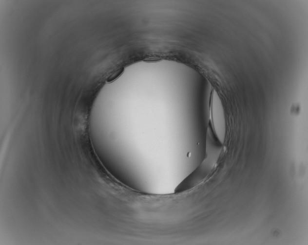 X0000090950033200708161805