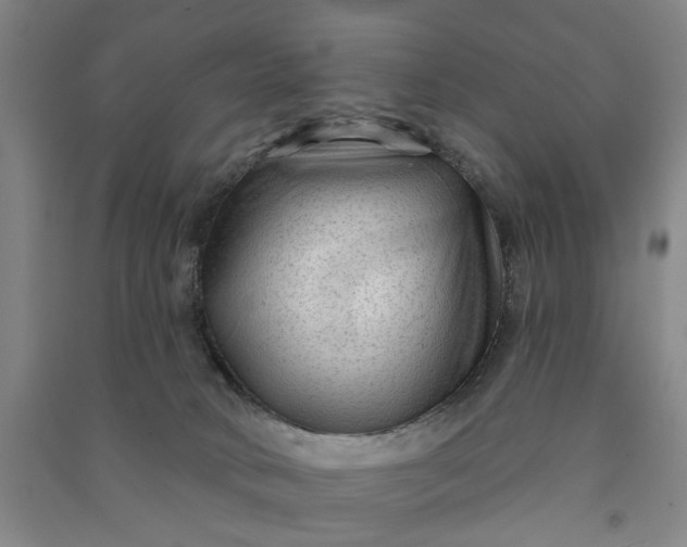 X0000090950034200708161805