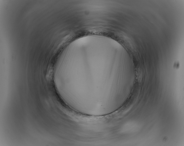 X0000090950036200708161805