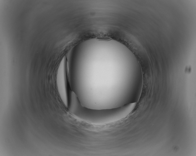X0000090950037200708161805