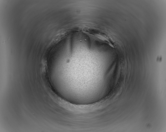 X0000090950038200708161805