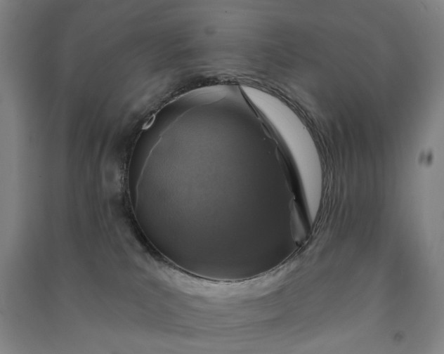 X0000090950039200708161805
