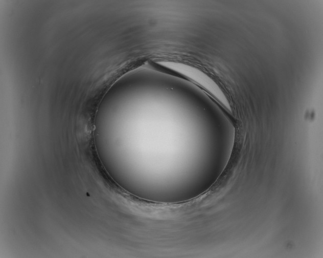 X0000090950040200708161805