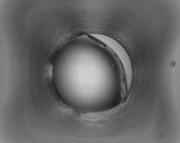 X0000090950041200708161805