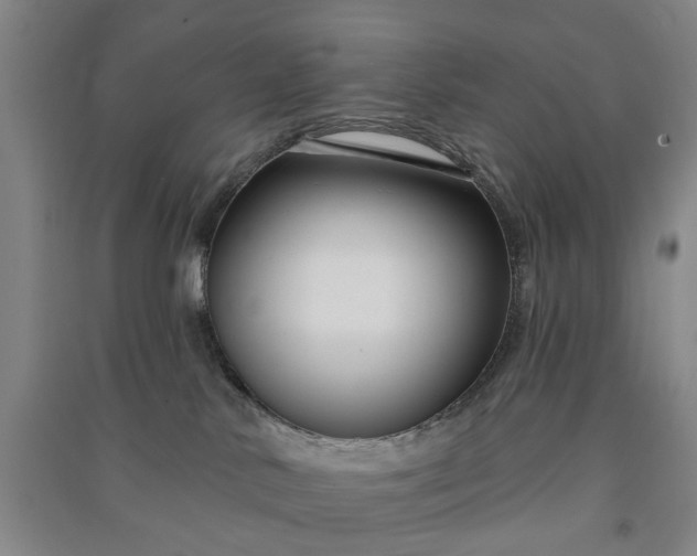X0000090950042200708161805