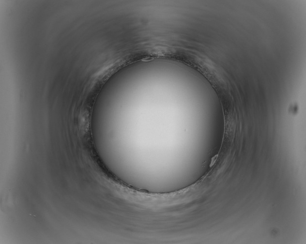 X0000090950043200708161805