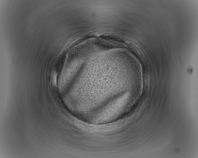 X0000090950046200708161805