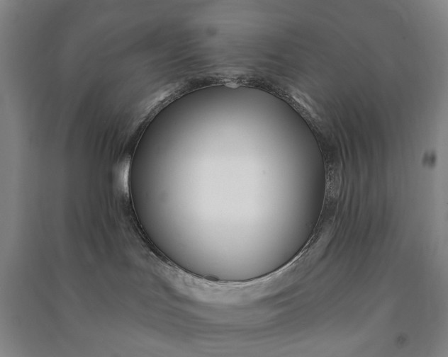 X0000090950047200708161805