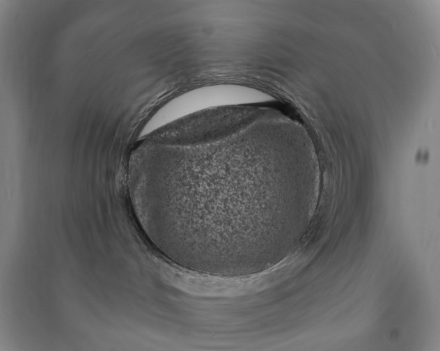 X0000090950048200708161805